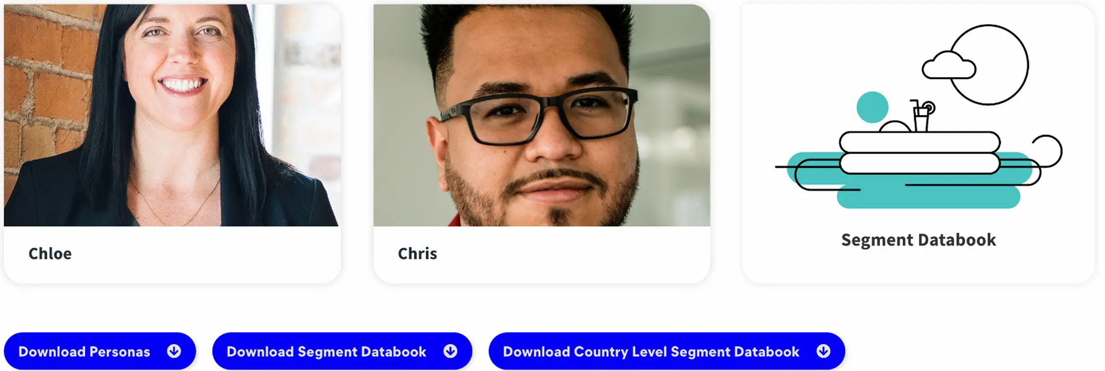 Module showing segment personas and downloads available